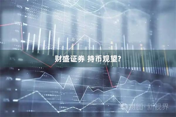 财盛证券 持币观望?