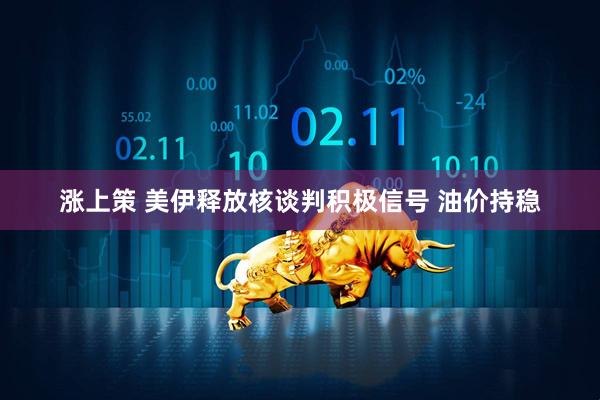 涨上策 美伊释放核谈判积极信号 油价持稳