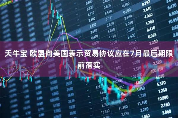 天牛宝 欧盟向美国表示贸易协议应在7月最后期限前落实