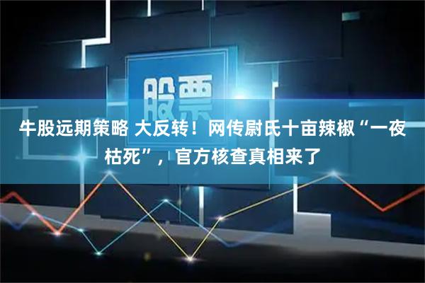 牛股远期策略 大反转！网传尉氏十亩辣椒“一夜枯死”，官方核查真相来了