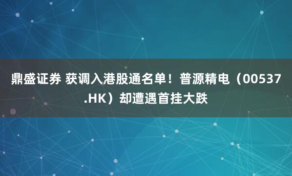 鼎盛证券 获调入港股通名单！普源精电（00537.HK）却遭遇首挂大跌
