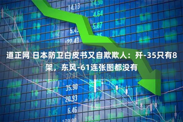 道正网 日本防卫白皮书又自欺欺人：歼-35只有8架，东风-61连张图都没有