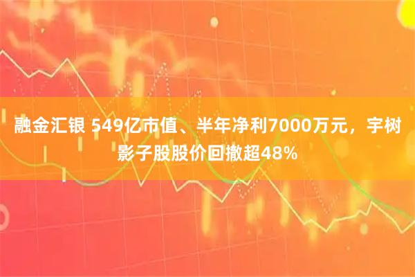 融金汇银 549亿市值、半年净利7000万元，宇树影子股股价回撤超48%